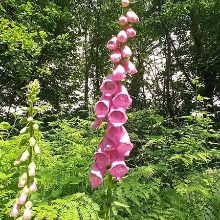 Mon Petit Piaf Holiday home